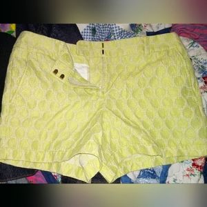 Loft Shorts Womens Size 8 Green White Flat Front Chino Pockets High Rise